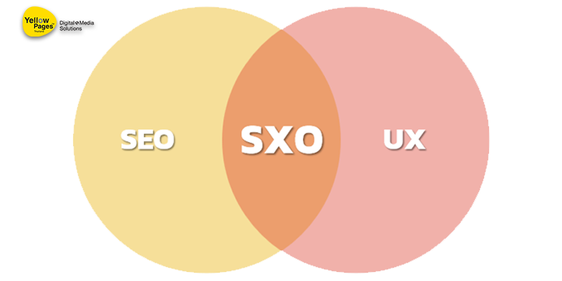 รับทำเว็บsxo